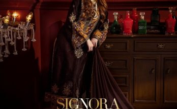 Signora Unstitched Premium Velvet Dresses Collection 2024-25 By Charizma (7)