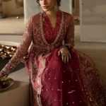 Afrozeh Hayat 2024-25 Wedding Dresses Embroidered Collection (10)