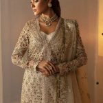 Afrozeh Hayat 2024-25 Wedding Dresses Embroidered Collection (12)