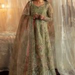 Afrozeh Hayat 2024-25 Wedding Dresses Embroidered Collection (16)