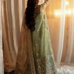 Afrozeh Hayat 2024-25 Wedding Dresses Embroidered Collection (19)