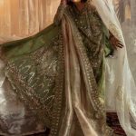 Afrozeh Hayat 2024-25 Wedding Dresses Embroidered Collection (22)