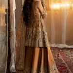 Afrozeh Hayat 2024-25 Wedding Dresses Embroidered Collection (26)