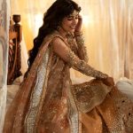 Afrozeh Hayat 2024-25 Wedding Dresses Embroidered Collection (27)