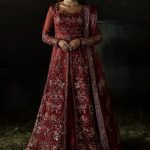 Afrozeh Hayat 2024-25 Wedding Dresses Embroidered Collection (34)