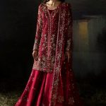 Afrozeh Hayat 2024-25 Wedding Dresses Embroidered Collection (40)