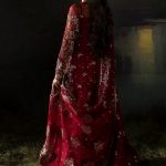 Afrozeh Hayat 2024-25 Wedding Dresses Embroidered Collection (42)