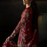 Afrozeh Hayat 2024-25 Wedding Dresses Embroidered Collection (43)