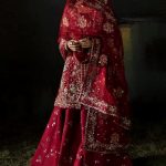 Afrozeh Hayat 2024-25 Wedding Dresses Embroidered Collection (44)