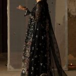 Afrozeh Hayat 2024-25 Wedding Dresses Embroidered Collection (54)