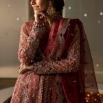 Afrozeh Hayat 2024-25 Wedding Dresses Embroidered Collection (6)