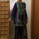 Bin Ilyas Olivia Kotrai Embroidered Womens Wear 2024-25 (47)