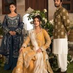 Celebrations Formal Embroidered Handwork Collection 2024-25 By Elaf (21)