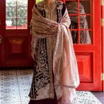 Deja Vu Unstitched Velvet Embroidered Collection 2024-25 By Mushq (23)