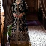 Deja Vu Unstitched Velvet Embroidered Collection 2024-25 By Mushq (36)