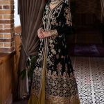 Deja Vu Unstitched Velvet Embroidered Collection 2024-25 By Mushq (38)