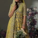 Elan Wedding Festive 2024 Heavy Embroidered Dresses Collection (29)