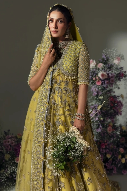 Elan Wedding Festive 2024 Heavy Embroidered Dresses Collection (29)