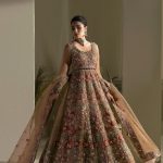 Elan Wedding Festive 2024 Heavy Embroidered Dresses Collection (5)