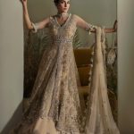 Elan Wedding Festive 2024 Heavy Embroidered Dresses Collection (6)