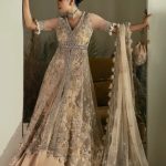 Elan Wedding Festive 2024 Heavy Embroidered Dresses Collection (8)