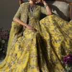 Elan Wedding Festive 2024 Heavy Embroidered Dresses Collection (9)