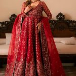 Solene Luxury Wedding Formals Fall Collection 2024-25 by Ayzel (1)