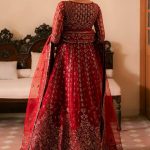 Solene Luxury Wedding Formals Fall Collection 2024-25 by Ayzel (2)