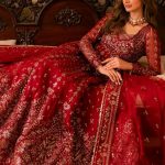 Solene Luxury Wedding Formals Fall Collection 2024-25 by Ayzel (3)