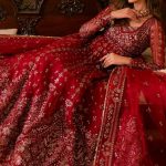 Solene Luxury Wedding Formals Fall Collection 2024-25 by Ayzel (4)