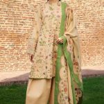 Zara Shahjahan Embroidered And Printed Womens Winter Wear Collection 2024 (18)