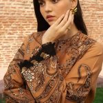 Zara Shahjahan Embroidered And Printed Womens Winter Wear Collection 2024 (26)