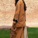 Zara Shahjahan Embroidered And Printed Womens Winter Wear Collection 2024 (28)