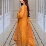 Emaan Adeel Velvet Dresses Winter Collection 2024-25 (47)