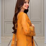 Emaan Adeel Velvet Dresses Winter Collection 2024-25 (48)