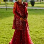 Qalamkar Shadmani Luxury Formals Collection 2025 A Masterpiece of Elegance (13)