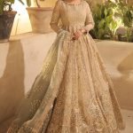 The Elegance of Zarlish Mohsin Naveed Ranjha’s Luxury Dresses 2024 Vol 5 (18)