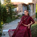 Noor Luxe Chikankaari Collection 2025 By Saadia Asad (45)