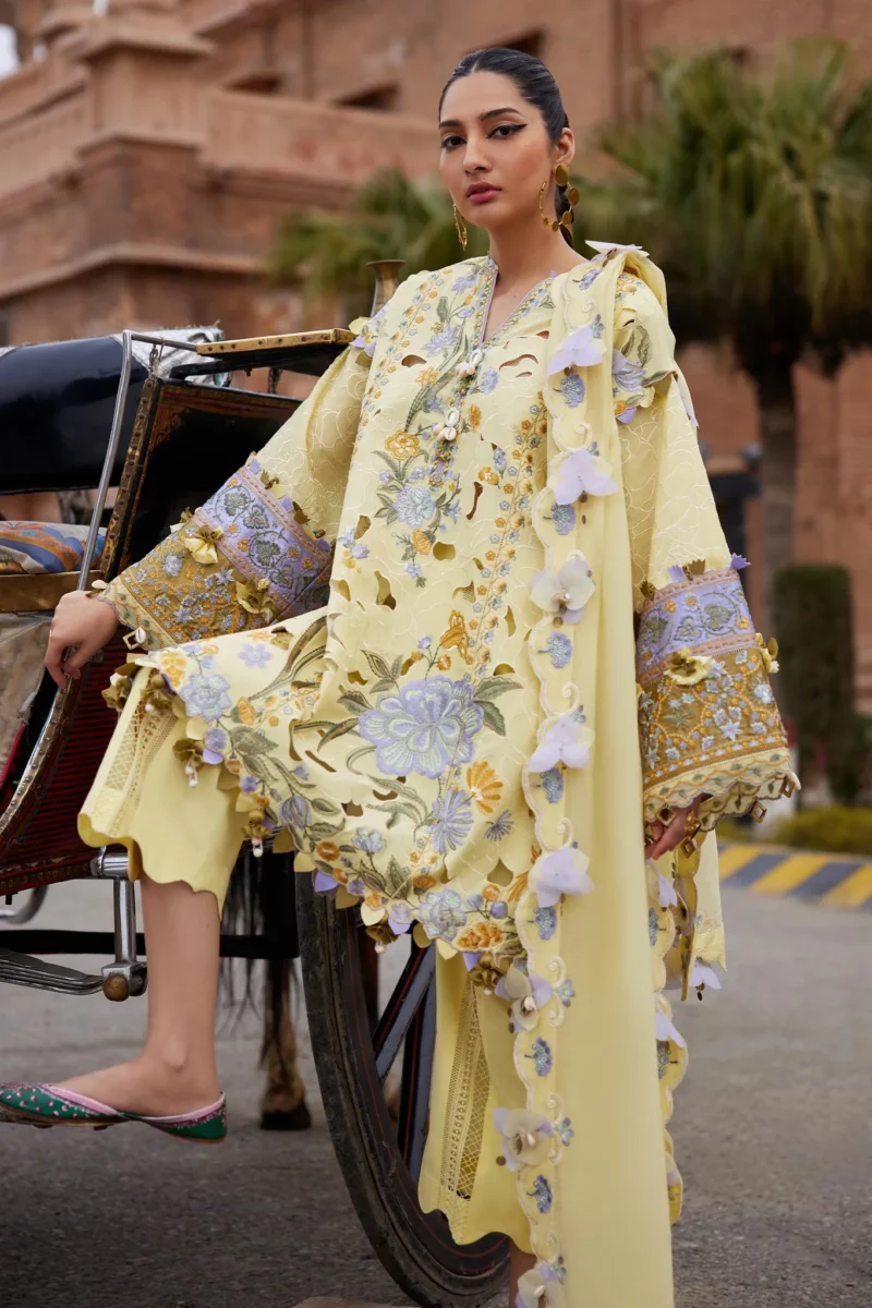 Elan Lawn 2025 Unstitched Women's Wear Collection (69)